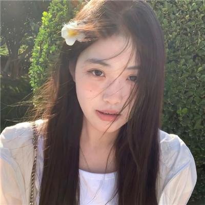 十三个女人